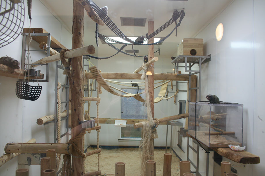 A marmoset enclosure